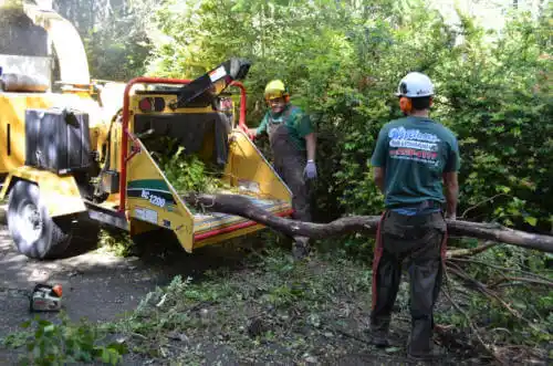 tree services Neponset